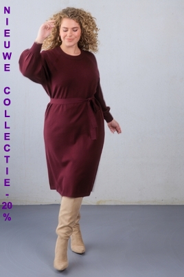 Yest Curve jurk Roos Essential