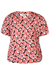 Coral poppy