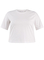Base Level Curvy shirt Noana