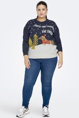 ONLY trui CARXMAS kerst teckel